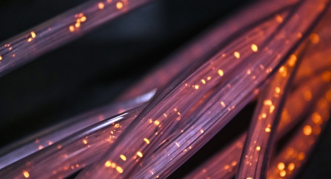 Photo of fiber optic cable