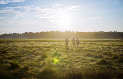 Three people walking across a saltmarsh with the sun in the background