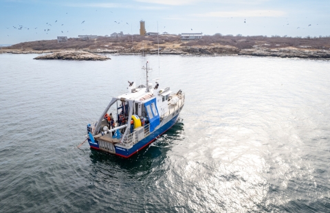 A small research vessel off the coast of an island.