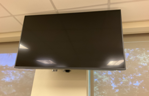 Horton 207 Confidence Monitor