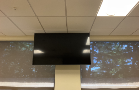 Horton 215 Confidence Monitor