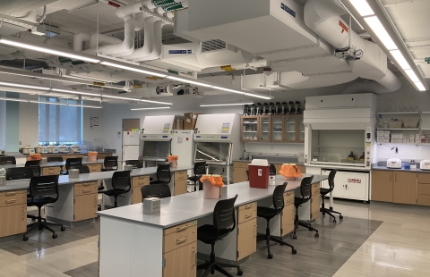 Spaulding Life Science 190 Classroom