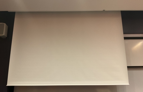 Kingsbury N101 Classroom Screen