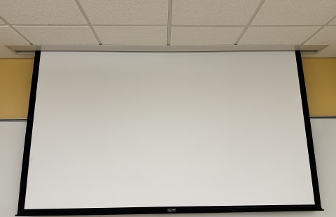 Hamilton Smith 344 Projector Screen