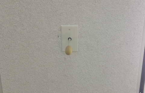 Rudman G89 Classroom Ceiling Microphone