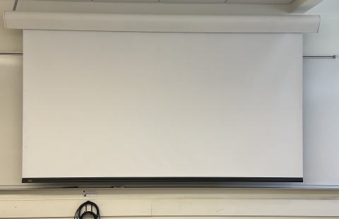Parsons N114 Classroom Projector Screen