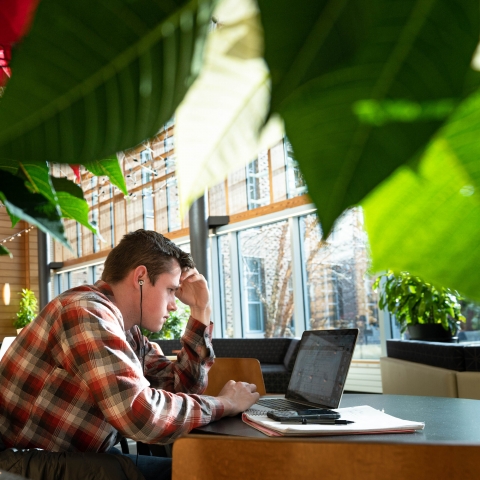A student stares intently at his laptop screen
