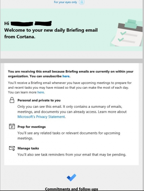 brief