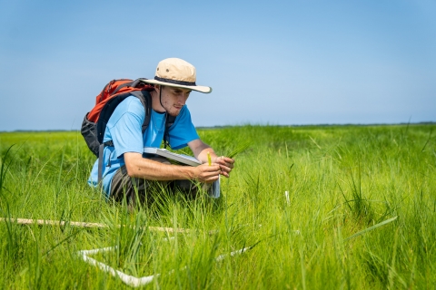 Photo of a male college student on a salt marsh