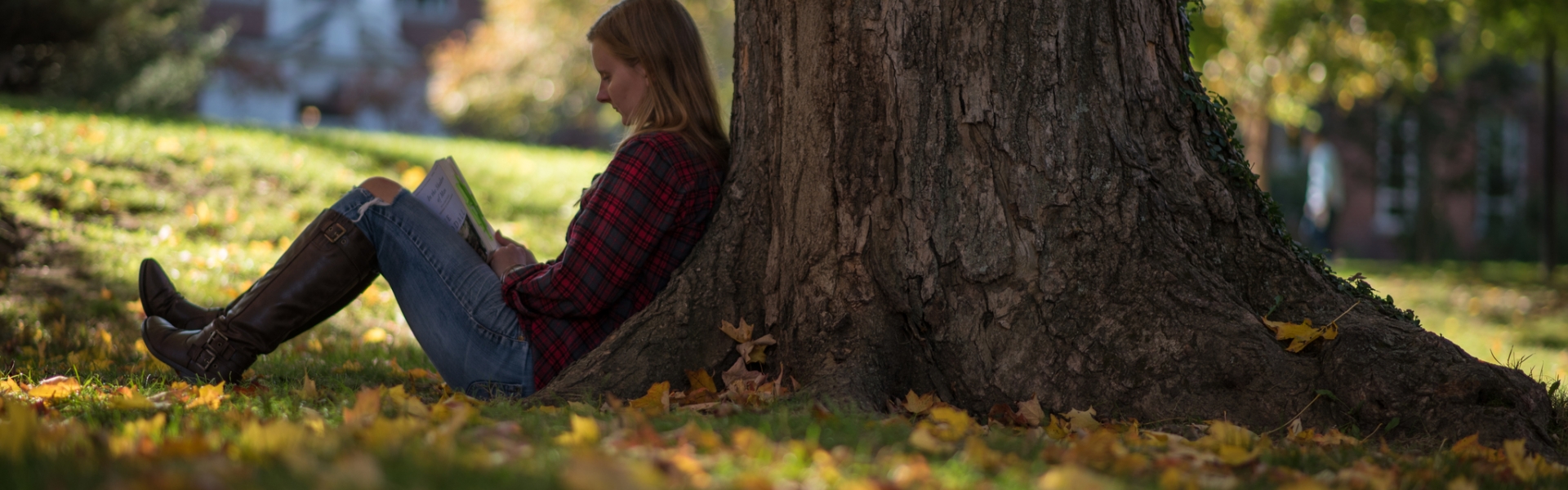 Student sitting next to tree in the fall