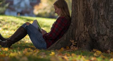 student sitting under tree on campus