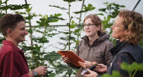 People in greenhouse